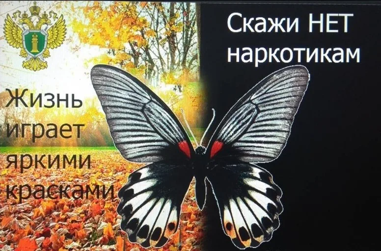 Социальная реклама прокуратуры Красноармейского района Самарской области